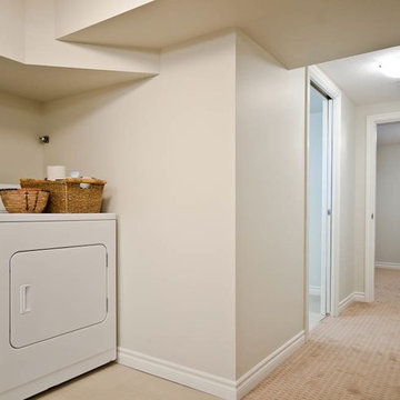 Basement Renovation