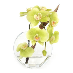 Green Phalaenopsis XS Moon Vase - Products