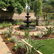 garden ideas