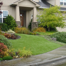 Artificial Turf Backyard