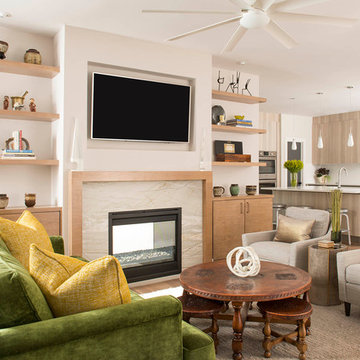 Transitional Living Room