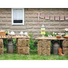 Snyder Harding Wedding