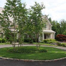 Landscape Ideas