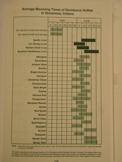 Holly Pollination Chart