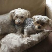 Lynn Braithwaite's photo