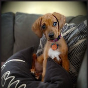 Ashley Rogers's photo