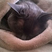 Dorry Gardner's photo