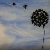 Rachel Busch's photo