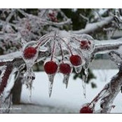 Debbie Glaser's photo