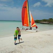 Mark Davidson's photo