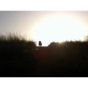 Peter Novak's photo