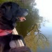 Mike Rubin's photo