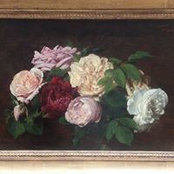 Mary Menning's photo