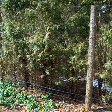 fencing