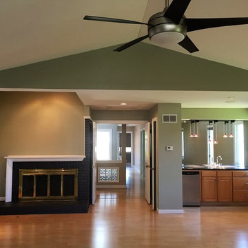Move-In Repaint