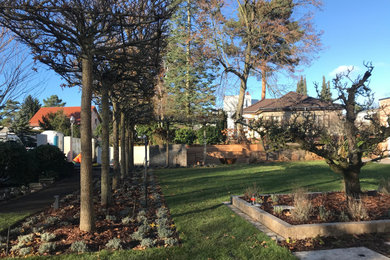 Geräumiger Moderner Garten im Winter mit direkter Sonneneinstrahlung in Berlin