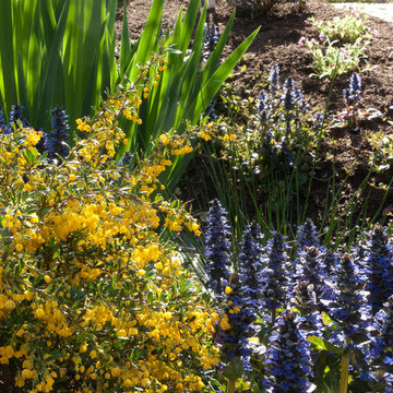 Stream bank