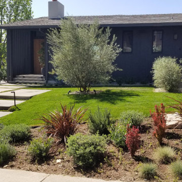 Brentwood Mid-Century Modern Remodel - Landscape Design