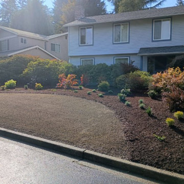 During Front Yard Renovation