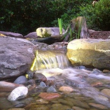 LED Landscape & Pond Lighting Baltimore County & Harford County, MD