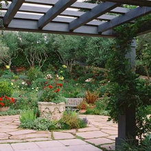 Patio Landscape