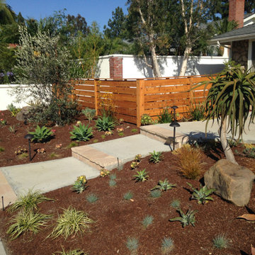 Our Latest Work!