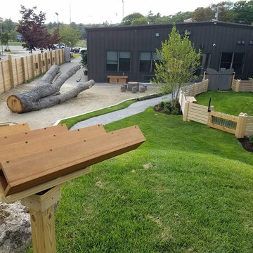Natural Playground