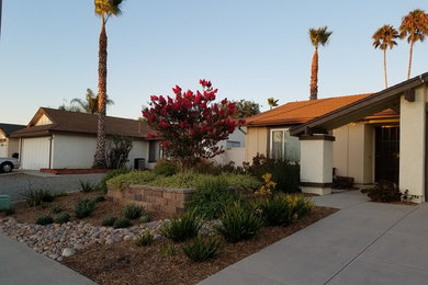 Photo of a mid-sized transitional landscaping in San Diego.