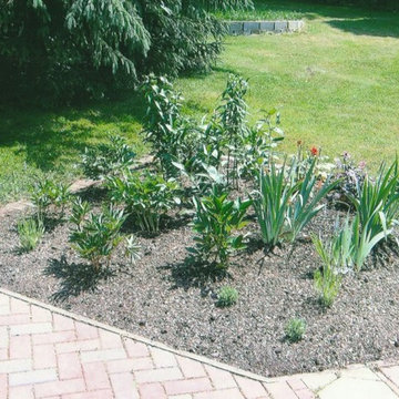 Rose Garden Design and Install