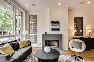 Living room - contemporary living room idea in Chicago