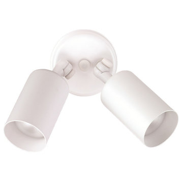 NICOR 100-Watt White Double Cylinder Adjustable Security Flood Light, White