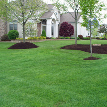 Lawn Care
