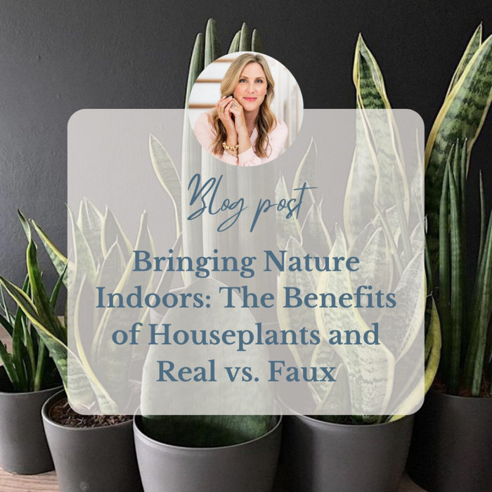 Bringing Nature Indoors: The Benefits of Houseplants and Real vs. Faux