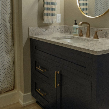 Bryon Center Whole-Home Remodel