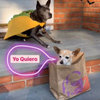 Halloween Pets.