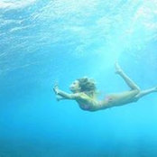 Tyler Endicott's photo