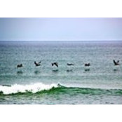 Billy Short's photo