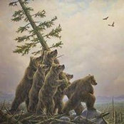 Adam Segel-Moss's photo