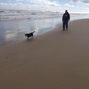 Gerald Putzel's photo