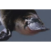 Alberto Imbrogno's photo