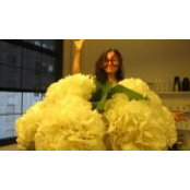 Ailsa Wong's photo