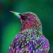 Regina Thomas's photo