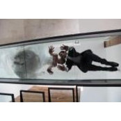 Barbara Freyre's photo