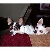 Diane Harrison's photo