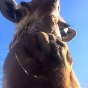 David Moss's photo