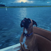 Jason Kechijian's photo