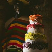 Ana Holbrook's photo