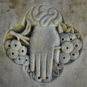 Meredith Munger's photo