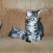 Becky Steadman's photo