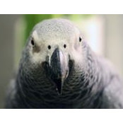 Sascha Mayer's photo